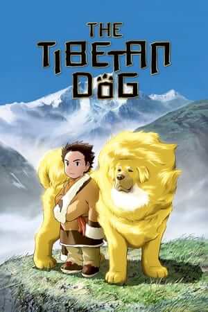 Chú Chó Tây Tạng - The Tibetan Dog - チベット犬物語 ～金色のドージェ～